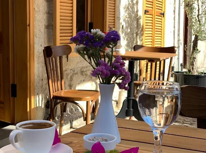 1881 Halil Efendi 3* アラカティ