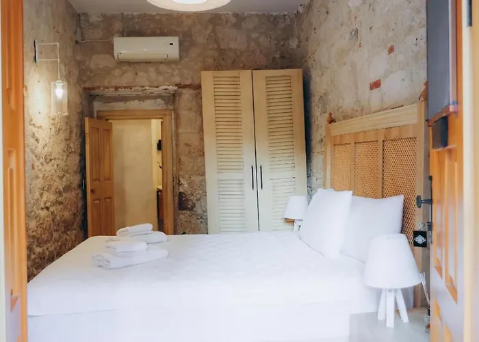 ベッド・アンド・ブレックファスト 1881 Halil Efendi アラカティ